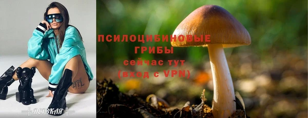 кокаин премиум Костерёво